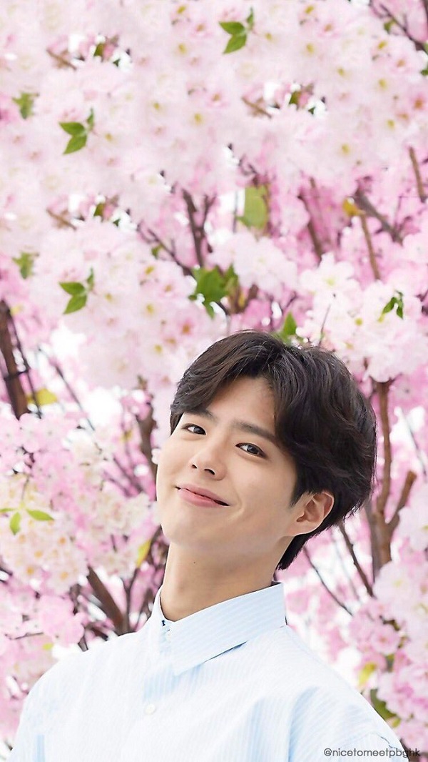 満開の桜とパクボゴム 美しすぎるスマホ用待ち受け画面公開